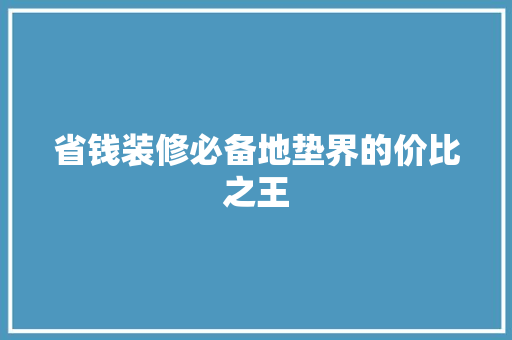 省钱装修必备地垫界的价比之王