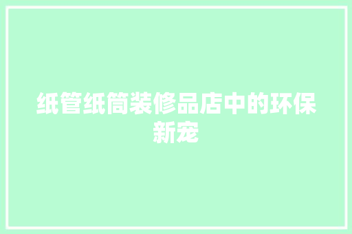 纸管纸筒装修品店中的环保新宠