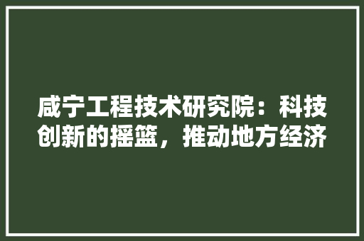 咸宁工程技术研究院：科技创新的摇篮，推动地方经济发展的引擎