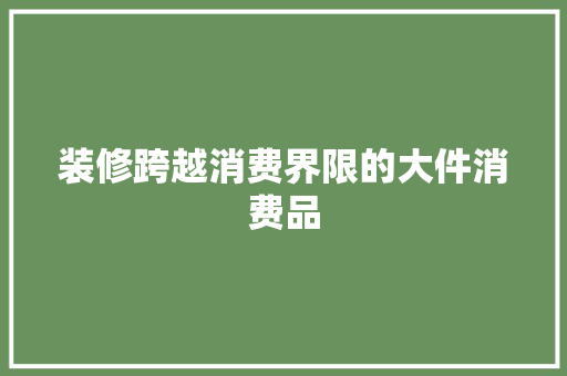 装修跨越消费界限的大件消费品