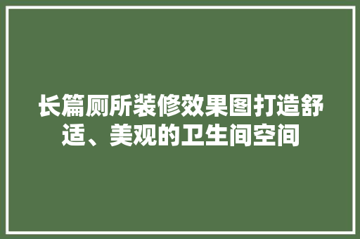 长篇厕所装修效果图打造舒适、美观的卫生间空间