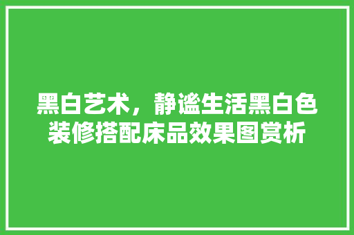 黑白艺术，静谧生活黑白色装修搭配床品效果图赏析