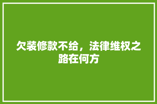 欠装修款不给，法律维权之路在何方
