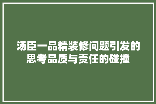 汤臣一品精装修问题引发的思考品质与责任的碰撞