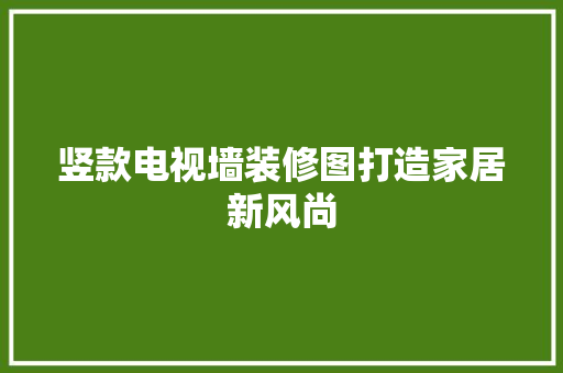 竖款电视墙装修图打造家居新风尚