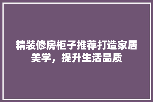 精装修房柜子推荐打造家居美学，提升生活品质
