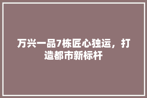 万兴一品7栋匠心独运，打造都市新标杆