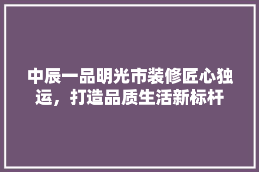 中辰一品明光市装修匠心独运，打造品质生活新标杆