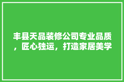 丰县天品装修公司专业品质，匠心独运，打造家居美学新高度
