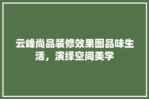 云峰尚品装修效果图品味生活，演绎空间美学