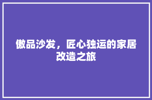 傲品沙发，匠心独运的家居改造之旅
