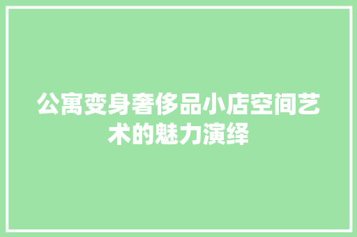 公寓变身奢侈品小店空间艺术的魅力演绎