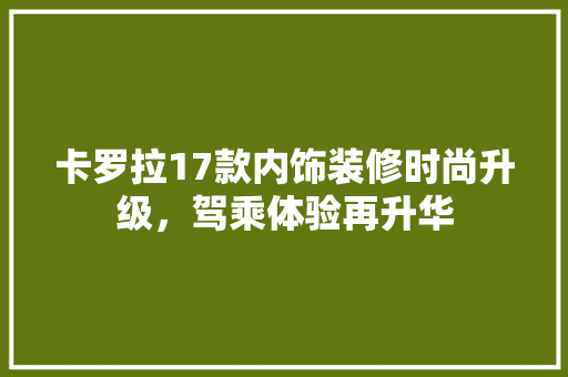 卡罗拉17款内饰装修时尚升级，驾乘体验再升华