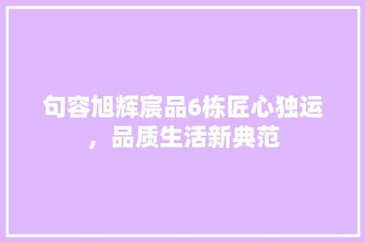 句容旭辉宸品6栋匠心独运，品质生活新典范