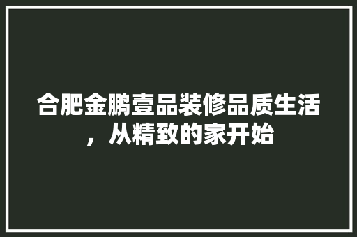 合肥金鹏壹品装修品质生活，从精致的家开始