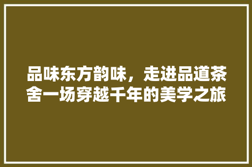 品味东方韵味，走进品道茶舍一场穿越千年的美学之旅