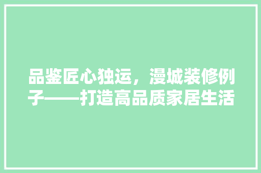 品鉴匠心独运，漫城装修例子——打造高品质家居生活新标杆