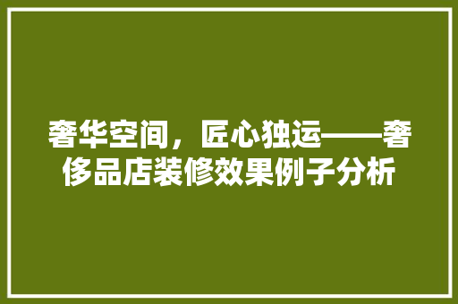 奢华空间，匠心独运——奢侈品店装修效果例子分析