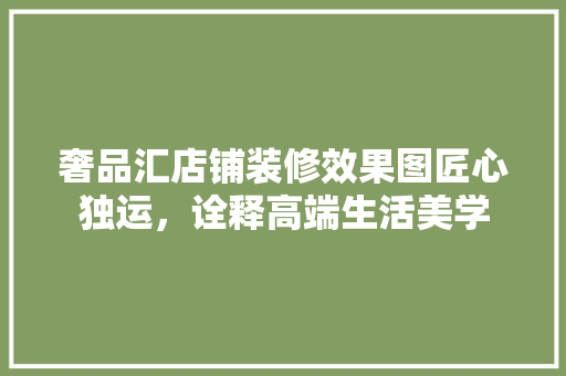 奢品汇店铺装修效果图匠心独运，诠释高端生活美学