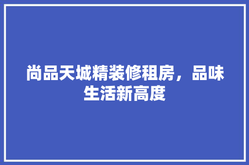 尚品天城精装修租房，品味生活新高度