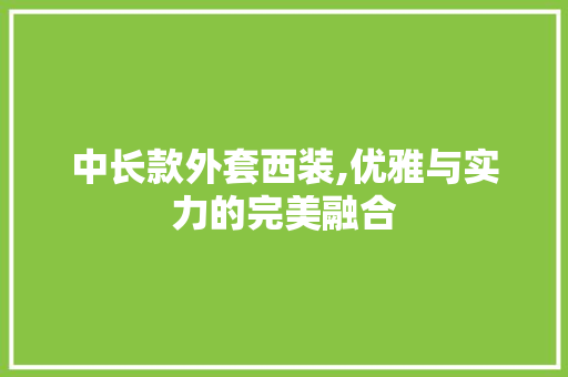 中长款外套西装,优雅与实力的完美融合 现代风格装饰