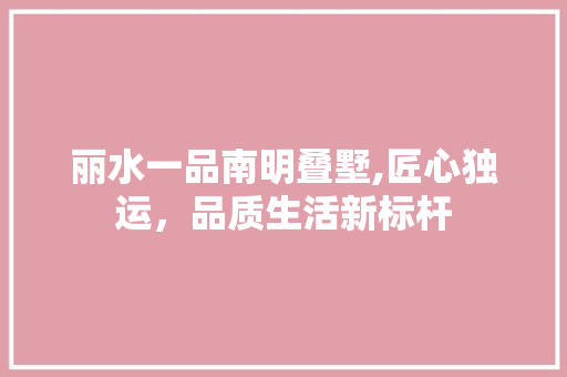 丽水一品南明叠墅,匠心独运，品质生活新标杆 现代风格装饰