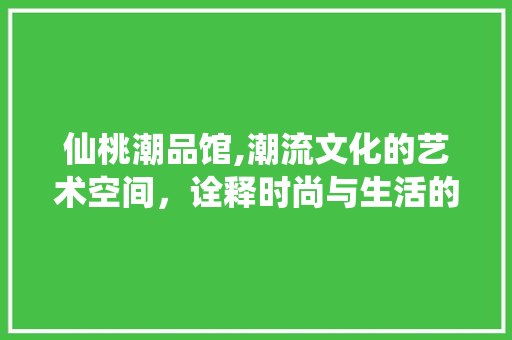 仙桃潮品馆,潮流文化的艺术空间，诠释时尚与生活的完美融合