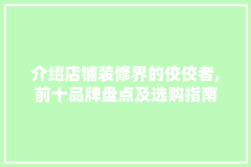 介绍店铺装修界的佼佼者,前十品牌盘点及选购指南 室内设计