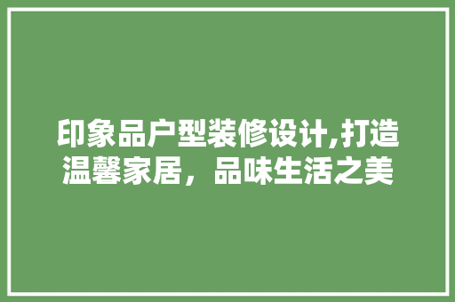 印象品户型装修设计,打造温馨家居，品味生活之美 软装设计