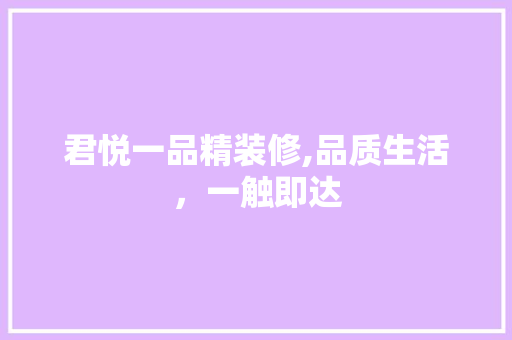君悦一品精装修,品质生活，一触即达 地板材料