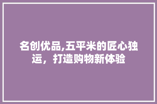 名创优品,五平米的匠心独运，打造购物新体验 客厅装修