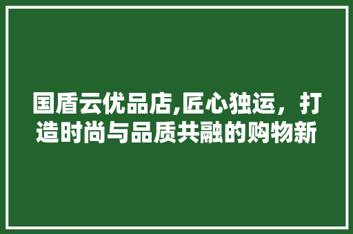 国盾云优品店,匠心独运，打造时尚与品质共融的购物新体验 软装设计