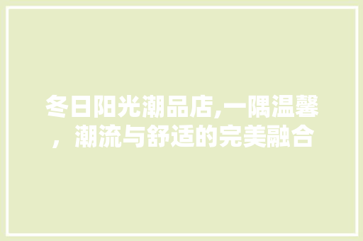 冬日阳光潮品店,一隅温馨，潮流与舒适的完美融合 现代风格装饰