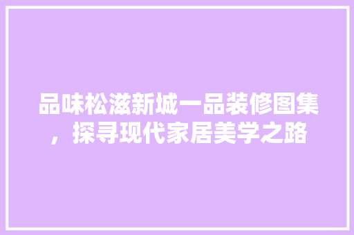 品味松滋新城一品装修图集，探寻现代家居美学之路 地板材料