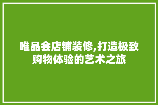 唯品会店铺装修,打造极致购物体验的艺术之旅 家居装修