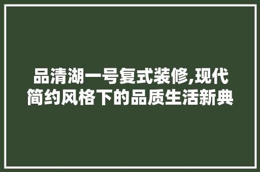 品清湖一号复式装修,现代简约风格下的品质生活新典范 地板材料
