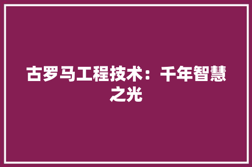 古罗马工程技术：千年智慧之光