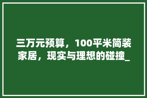 三万元预算，100平米简装家居，现实与理想的碰撞_100平米简装3万够吗