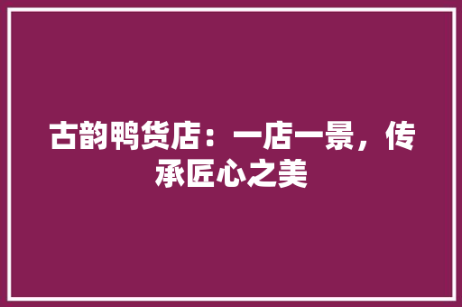 古韵鸭货店：一店一景，传承匠心之美