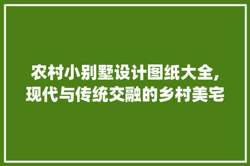 农村小别墅设计图纸大全,现代与传统交融的乡村美宅_农村小别墅设计图纸大全大图 家居装修