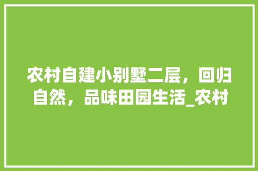农村自建小别墅二层，回归自然，品味田园生活_农村自建小别墅二层效果图 客厅装修