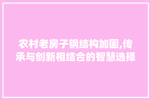农村老房子钢结构加固,传承与创新相结合的智慧选择_农村老房子用钢结构加固