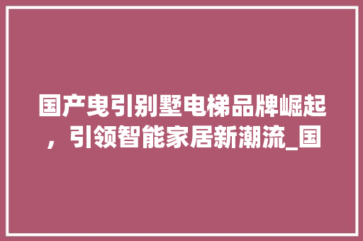 国产曳引别墅电梯品牌崛起，引领智能家居新潮流_国产曳引别墅电梯品牌 卧室装修