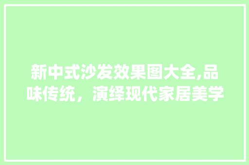 新中式沙发效果图大全,品味传统，演绎现代家居美学_新中式沙发效果图大全 现代风格装饰