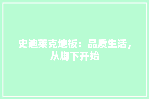 史迪莱克地板：品质生活，从脚下开始 卧室装修