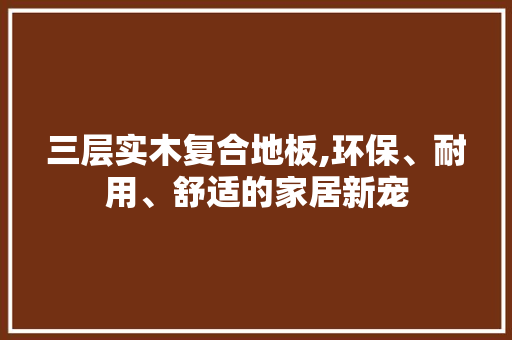 三层实木复合地板,环保、耐用、舒适的家居新宠