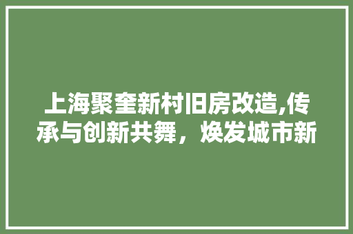 上海聚奎新村旧房改造,传承与创新共舞，焕发城市新活力