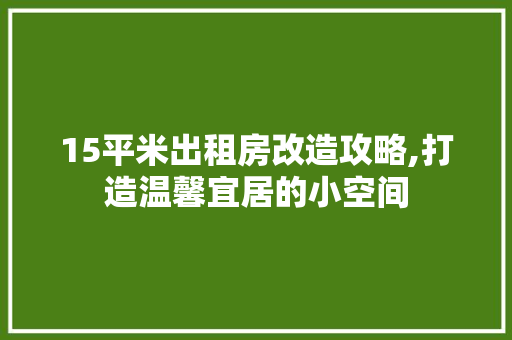 15平米出租房改造攻略,打造温馨宜居的小空间 地板材料