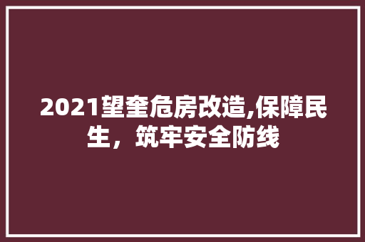 2021望奎危房改造,保障民生，筑牢安全防线 中式风格装饰