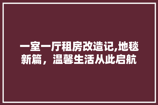 一室一厅租房改造记,地毯新篇，温馨生活从此启航